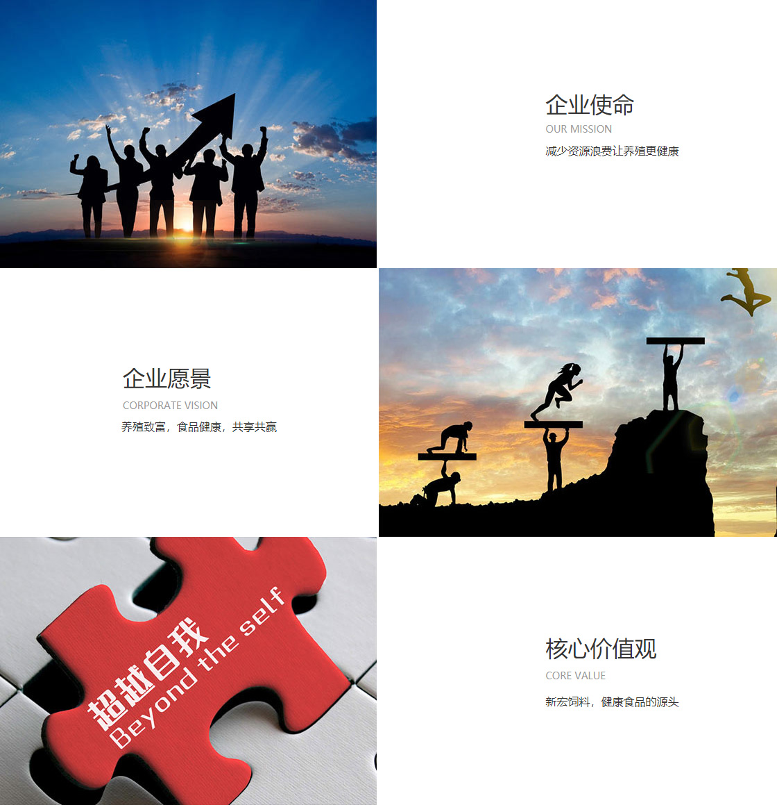 九游ag真人(图1)